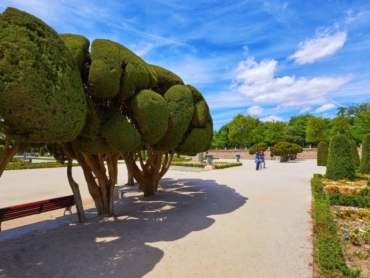 Diseño De Jardines Y Paisajismo En Madrid