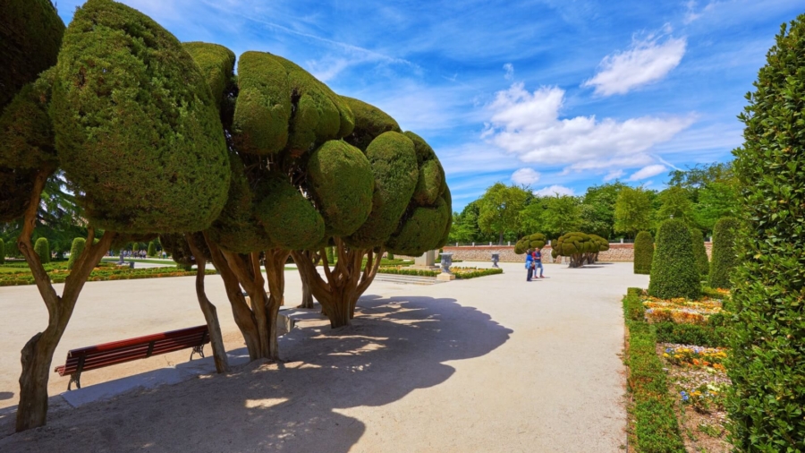 Diseño De Jardines Y Paisajismo En Madrid