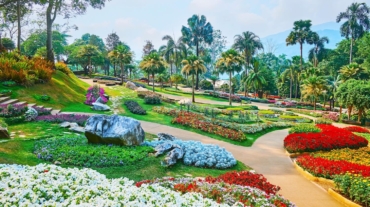 jardines y paisajismo en Barcelona