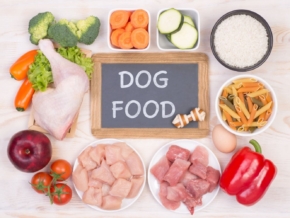 Comida casera para perros
