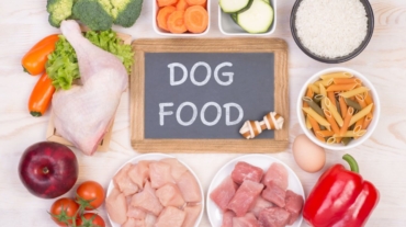 Comida casera para perros