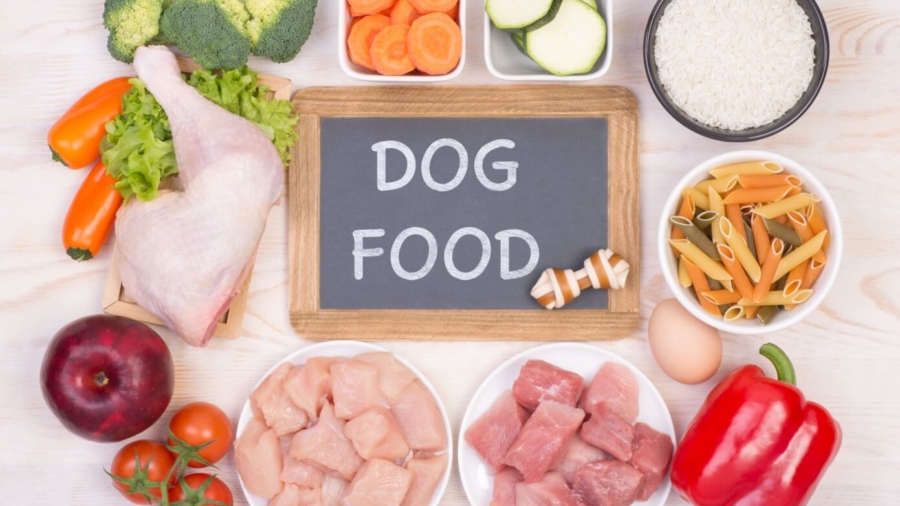 Comida casera para perros
