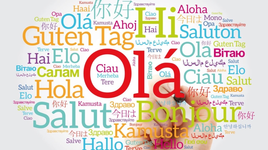 Empresa De Traducciones Profesionales