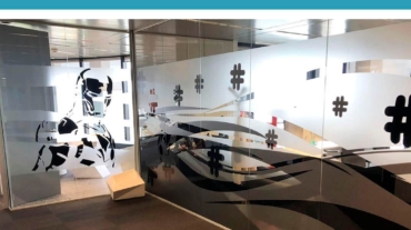 Los vinilos para cristales