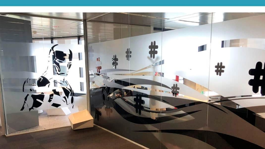 Los vinilos para cristales