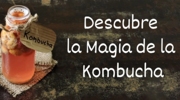 Descubre la Magia de la Kombucha