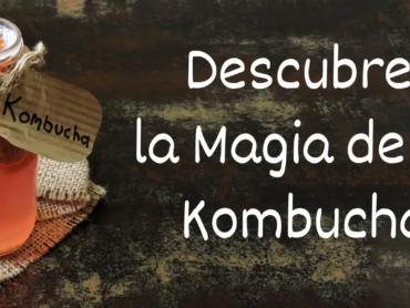 Descubre la Magia de la Kombucha
