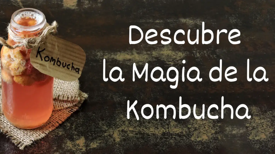 Descubre la Magia de la Kombucha