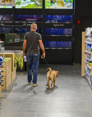 Kiwoko Las Palmas República Dominicana en Las Palmas de Gran Canaria: tienda de mascotas
