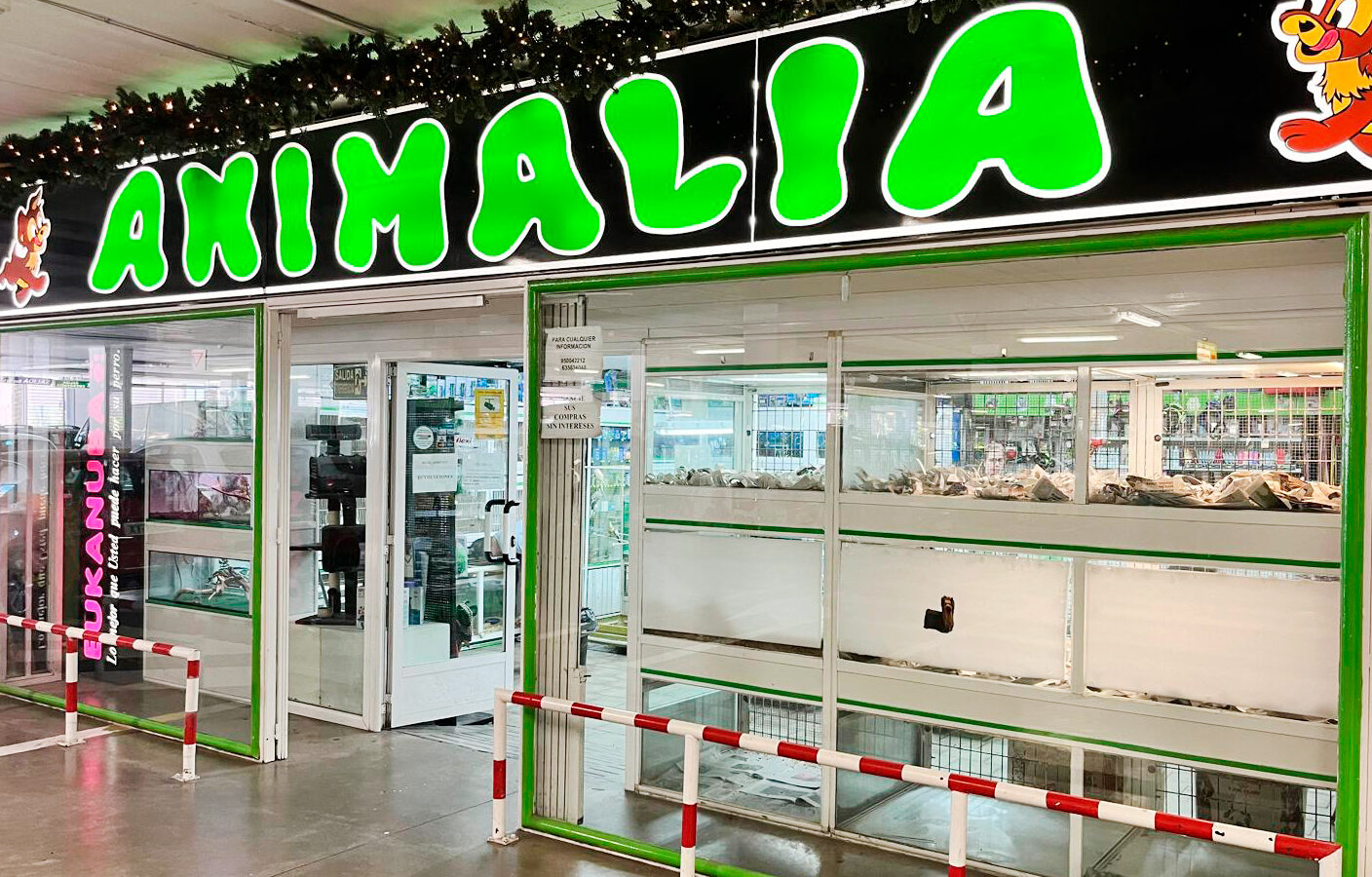 Animalia Mediterráneo en Almería: tienda de mascotas