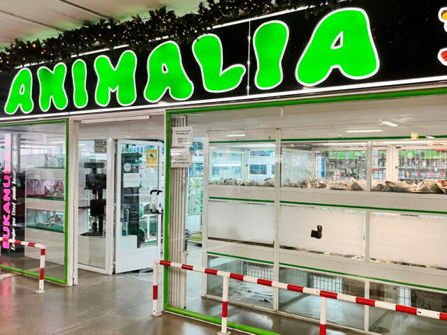 Animalia Mediterráneo en Almería: tienda de mascotas