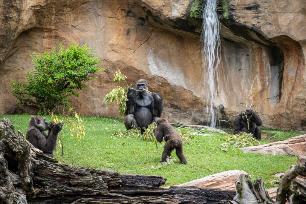 BIOPARC Fuengirola