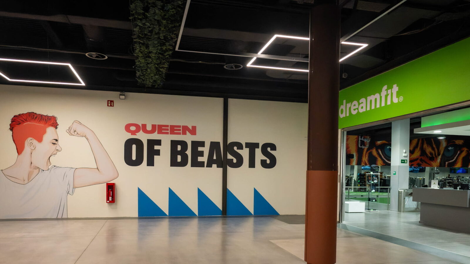 Dreamfit Valencia Gran Turia en Xirivella: gimnasio