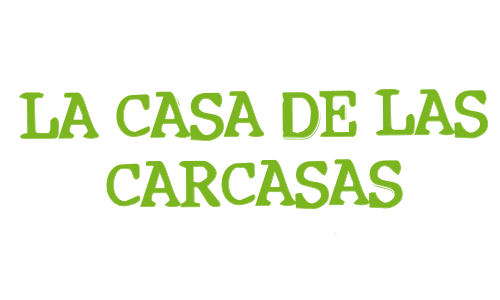 La Casa de las Carcasas Ponte Vella in Ourense: phone accessories