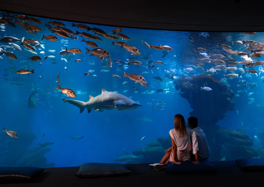 Palma Aquarium
