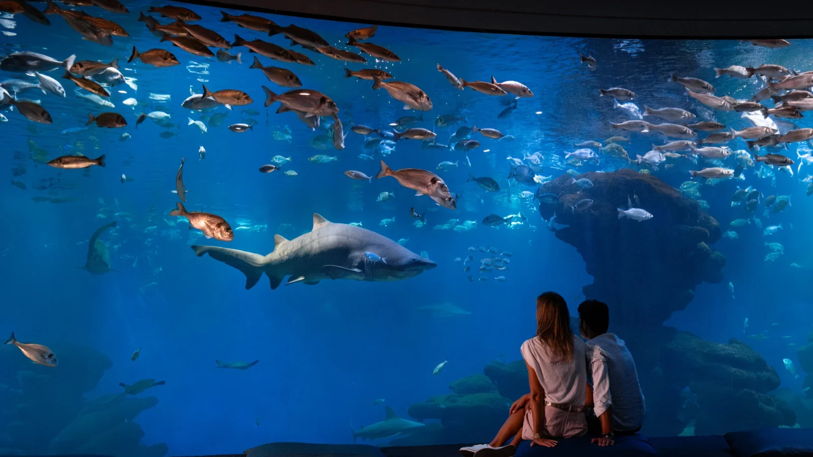Palma Aquarium: visitor information