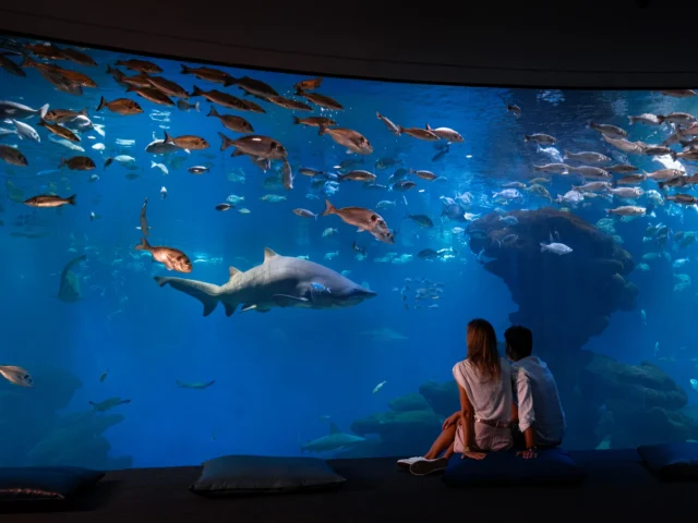 Palma Aquarium: visitor information